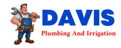 Trusted plumber in LOWRY CITY